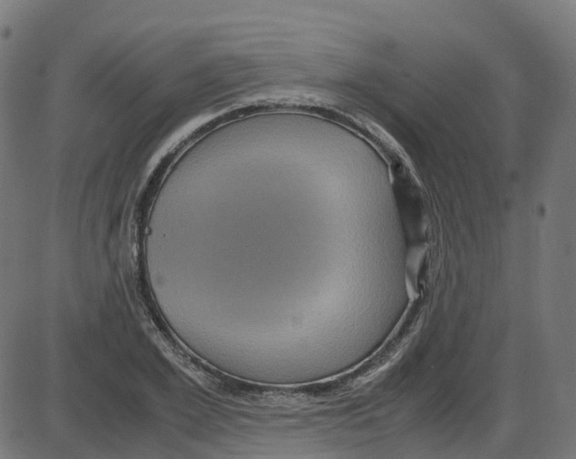 X0000087420981200705181418