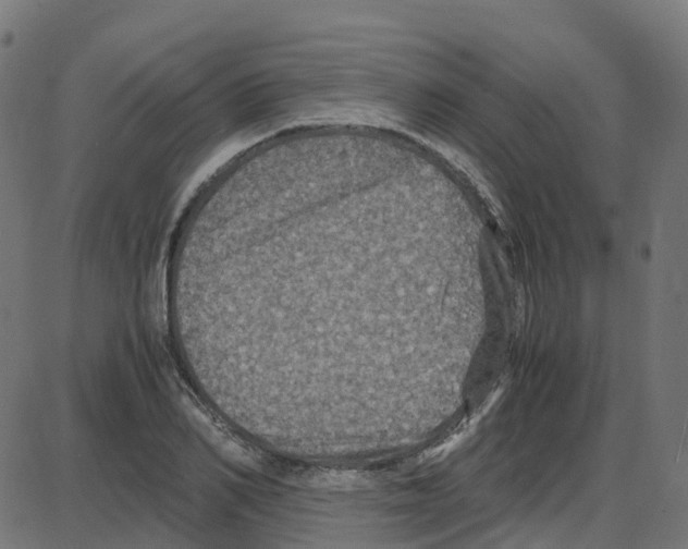 X0000087420982200705181418