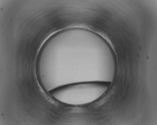 X0000087420984200705181418