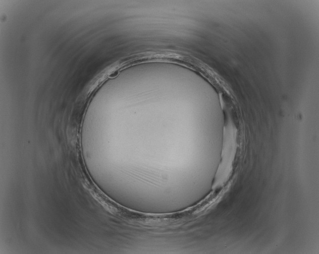 X0000087420985200705181418