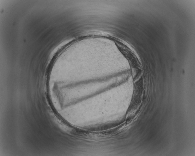 X0000087420987200705181418