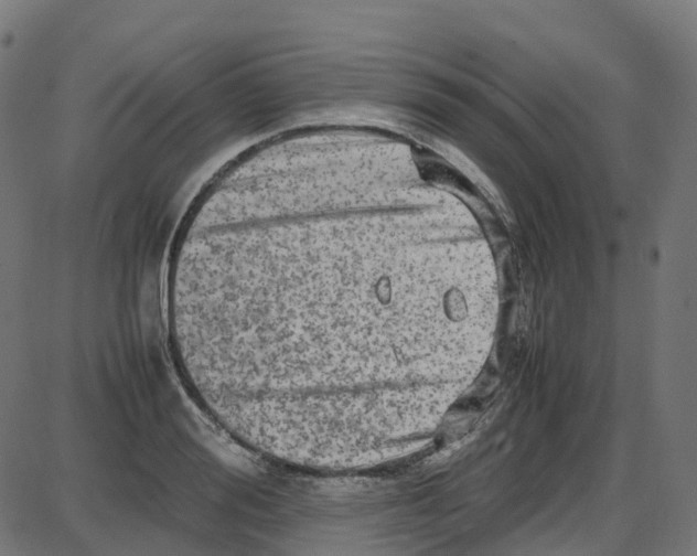 X0000087420988200705181418