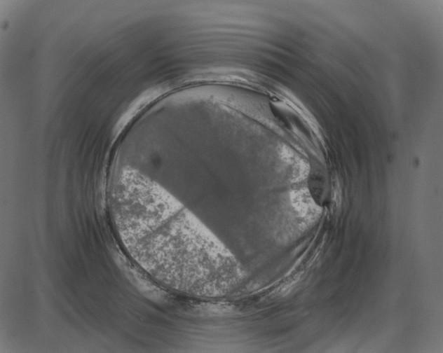 X0000087420994200705181418