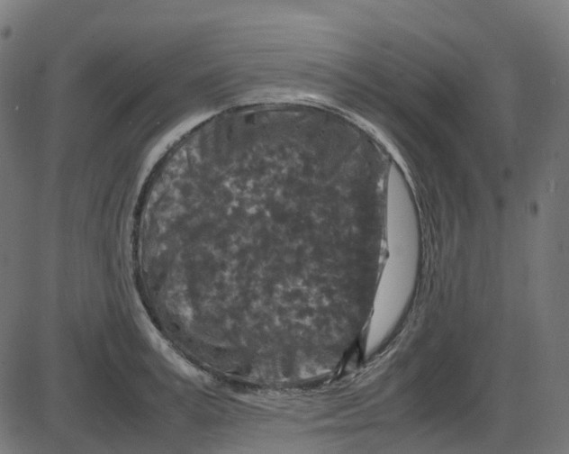 X0000087420995200705181418