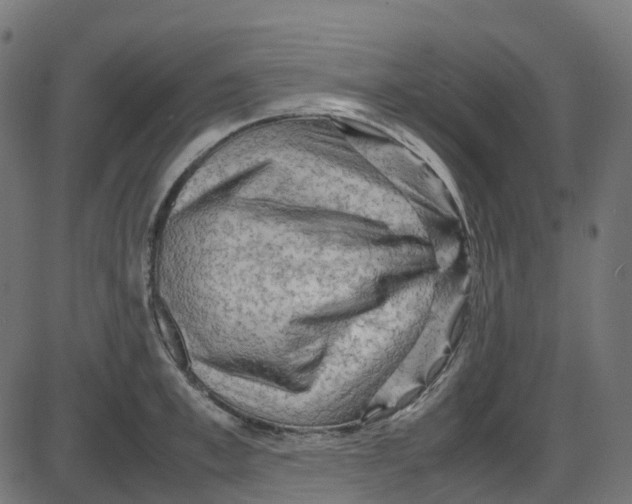 X0000087420997200705181418