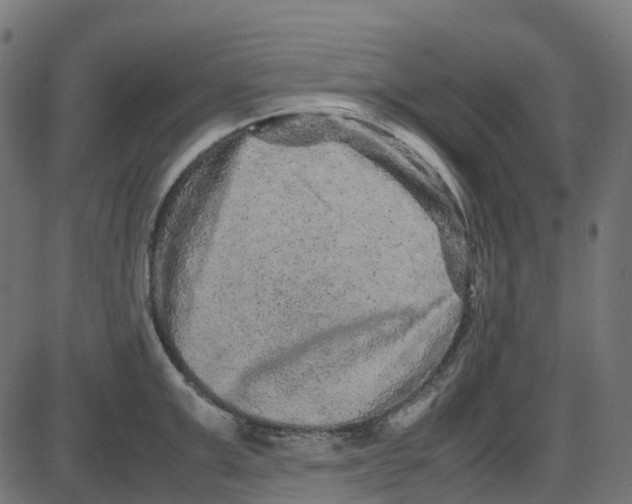 X0000087420999200705181418