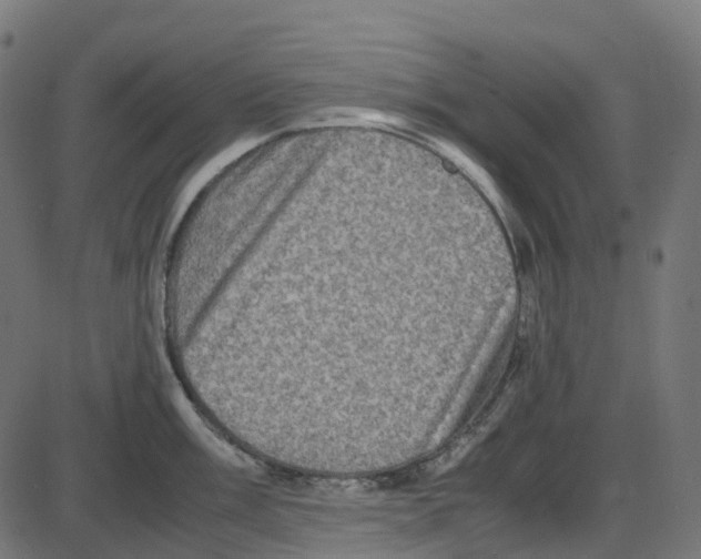X0000087421003200705181418