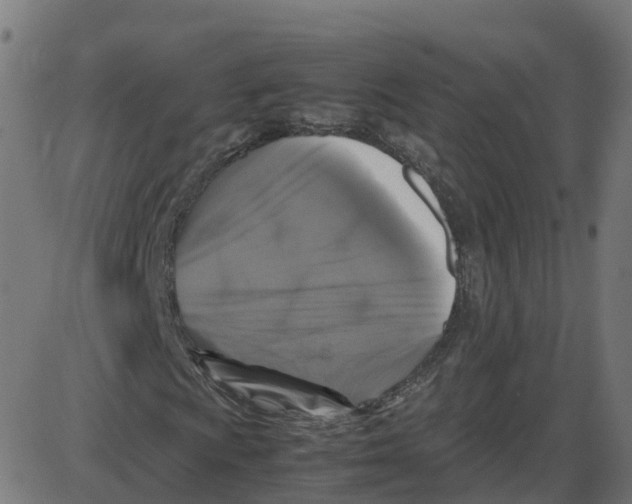 X0000087421009200705181417