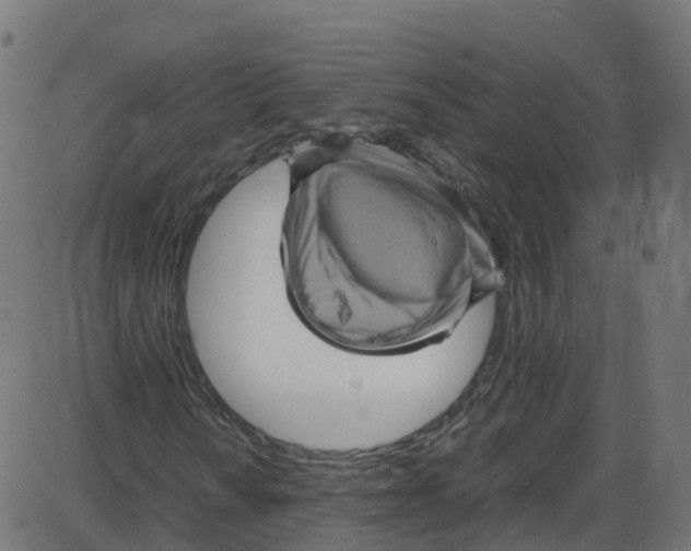 X0000087421010200705181417