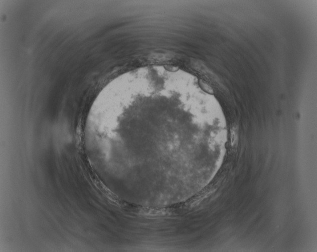 X0000087421011200705181417
