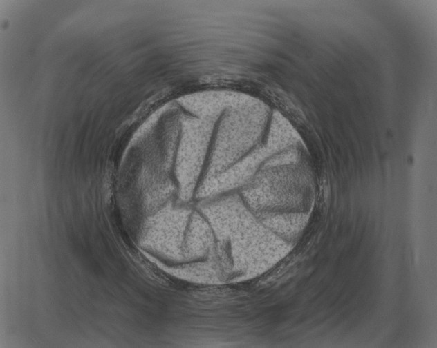 X0000087421012200705181417