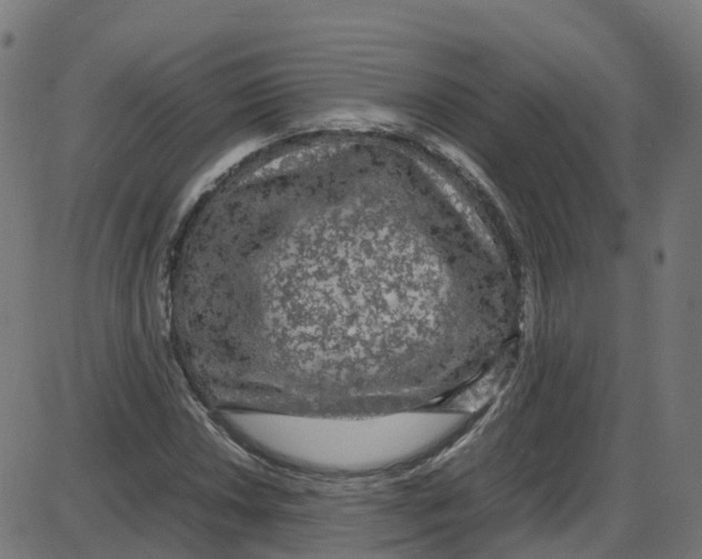 X0000087421018200705181417