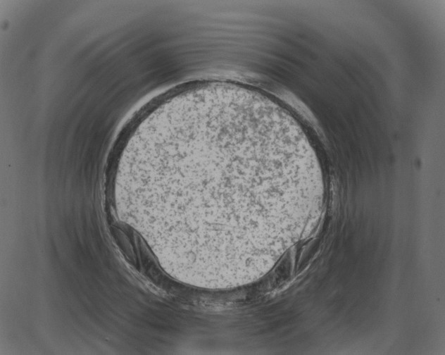 X0000087421020200705181417