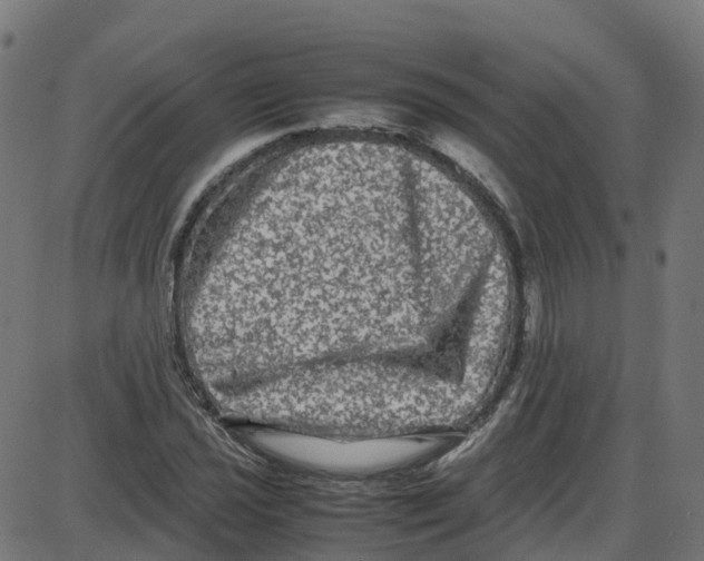X0000087421021200705181417