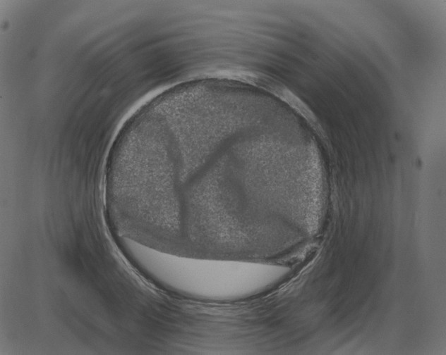 X0000087421028200705181417