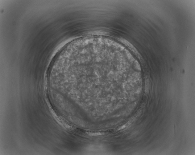 X0000087421031200705181417