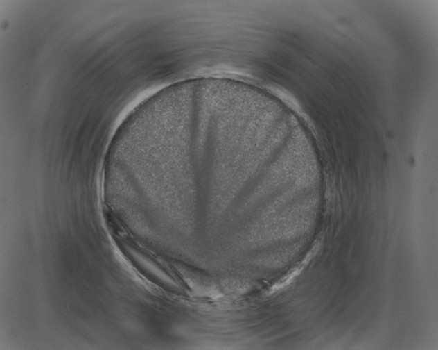 X0000087421032200705181417