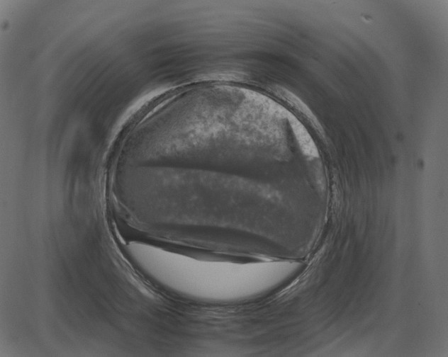 X0000087421035200705181417