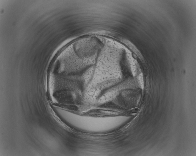 X0000087421036200705181417