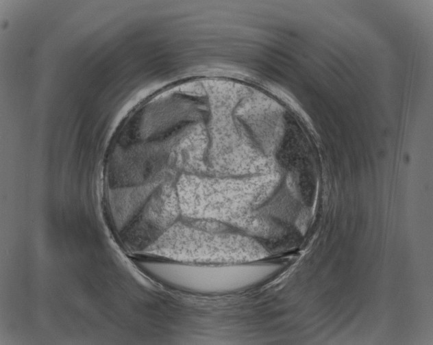 X0000087421040200705181417