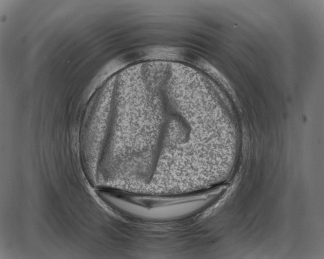 X0000087421041200705181417