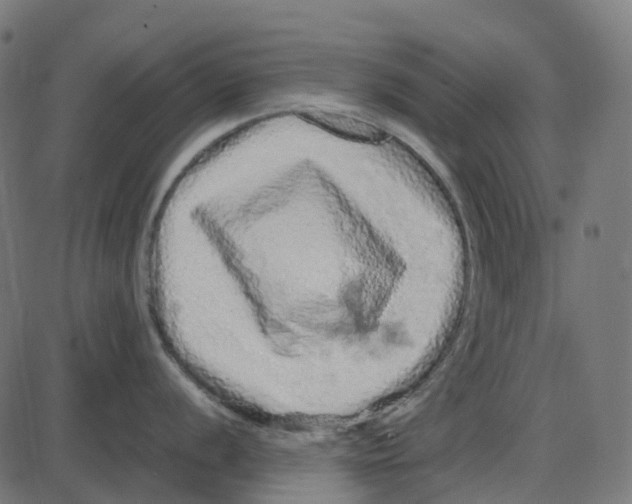 X0000087421056200705181418