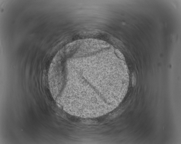 X0000087421059200705181417