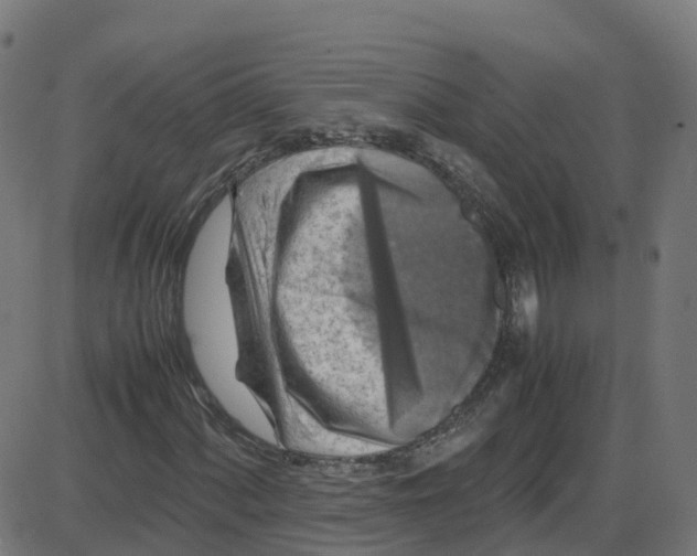 X0000087421060200705181417