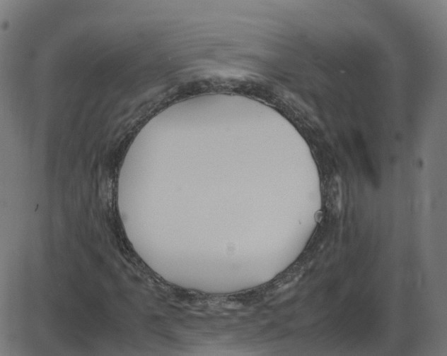 X0000087421061200705181417