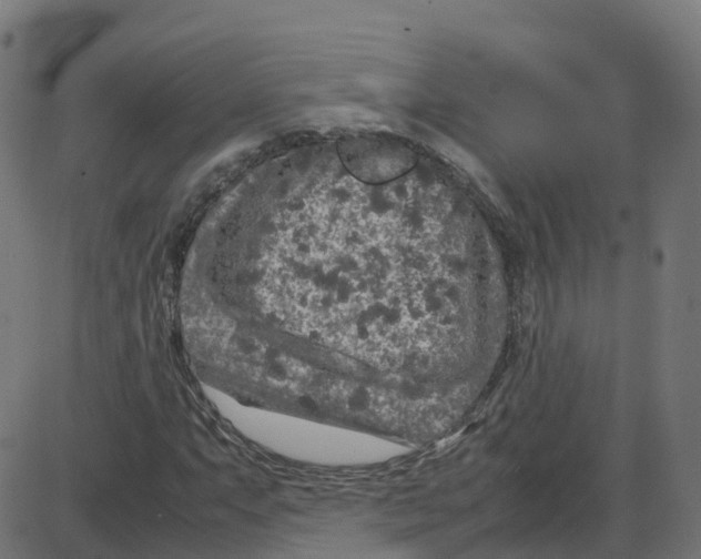 X0000087421063200705181417