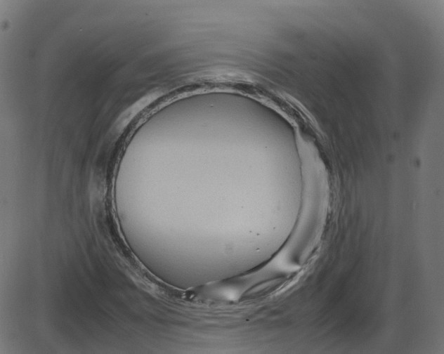 X0000087421065200705181417