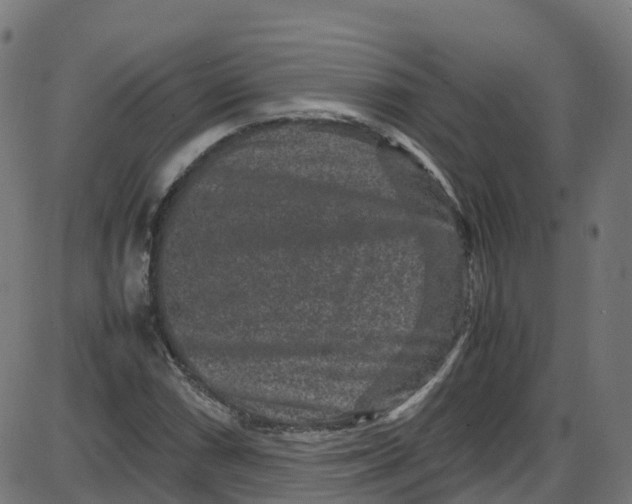 X0000087421066200705181417
