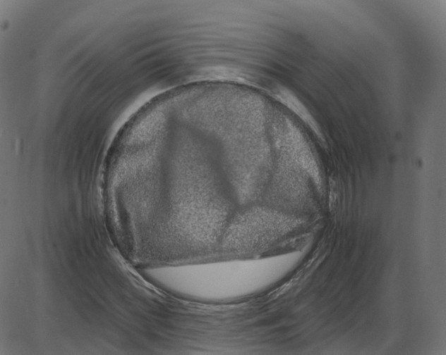 X0000087421068200705181417