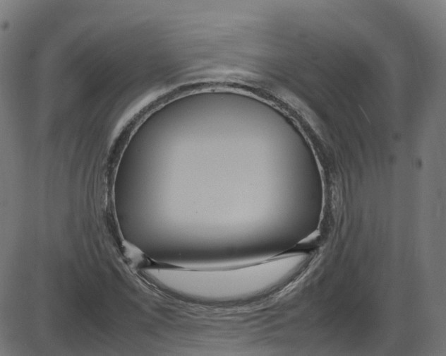 X0000087421069200705181417