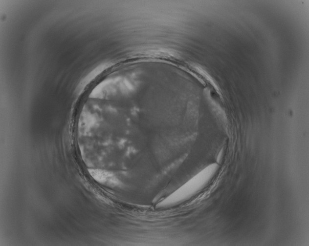 X0000087421071200705181417