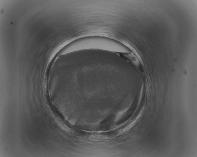 X0000087421077200705181417