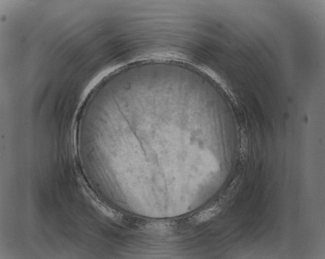 X0000087421078200705181417