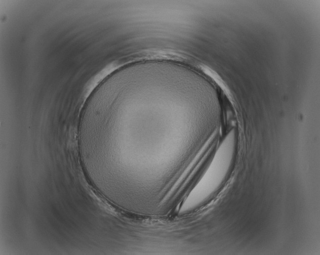 X0000087421089200705181416
