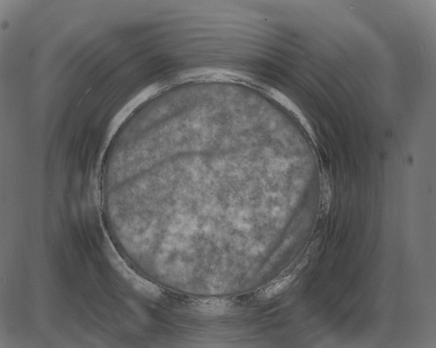 X0000087421090200705181416
