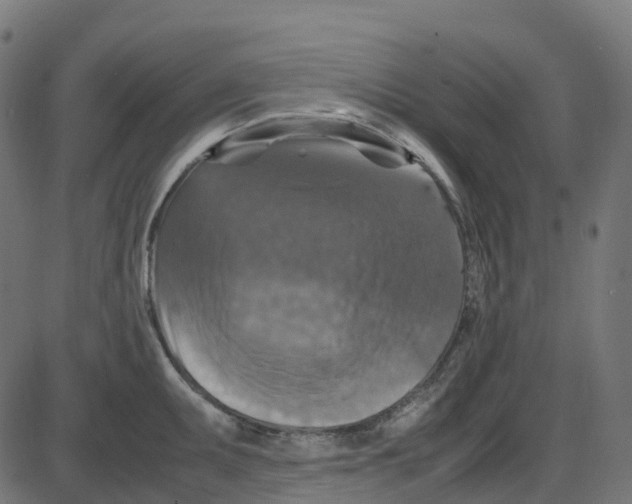 X0000087421095200705181416