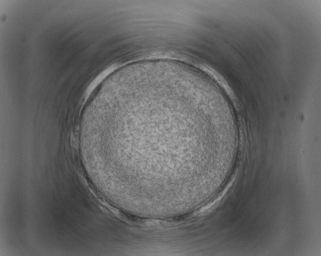 X0000087421097200705181416