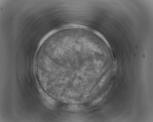X0000087421098200705181416