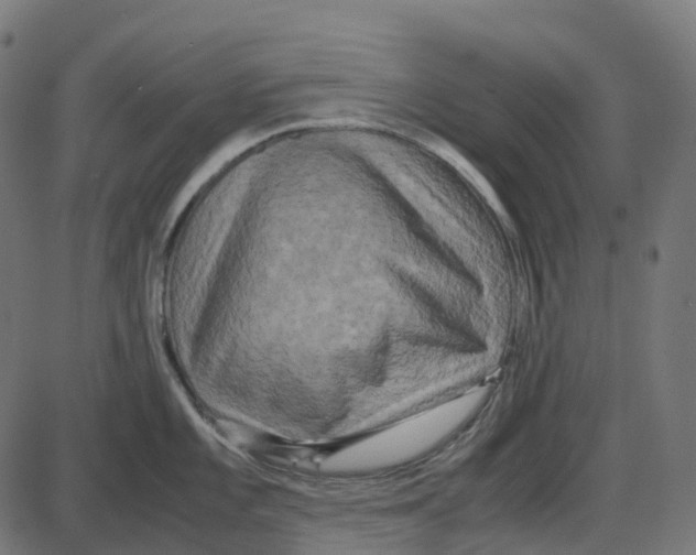 X0000087421101200705181416