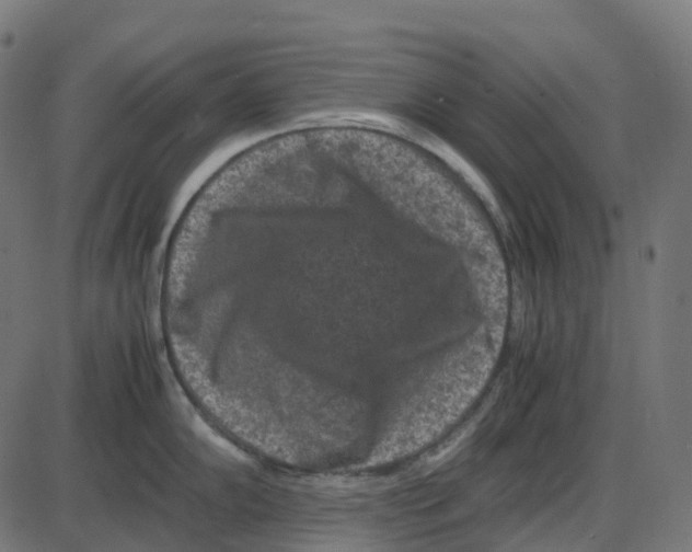 X0000087421102200705181416
