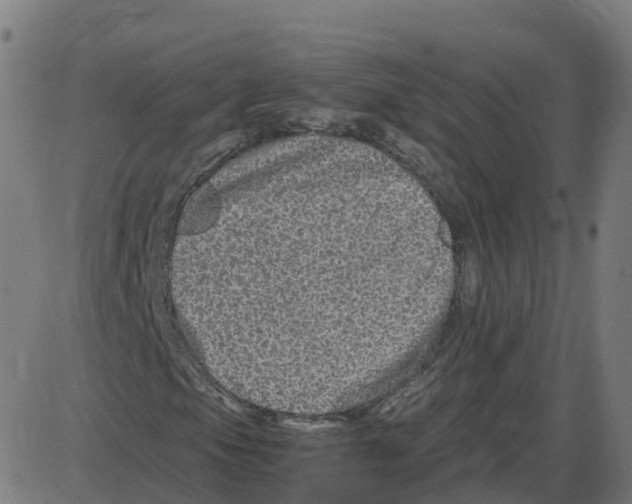 X0000087421105200705181415