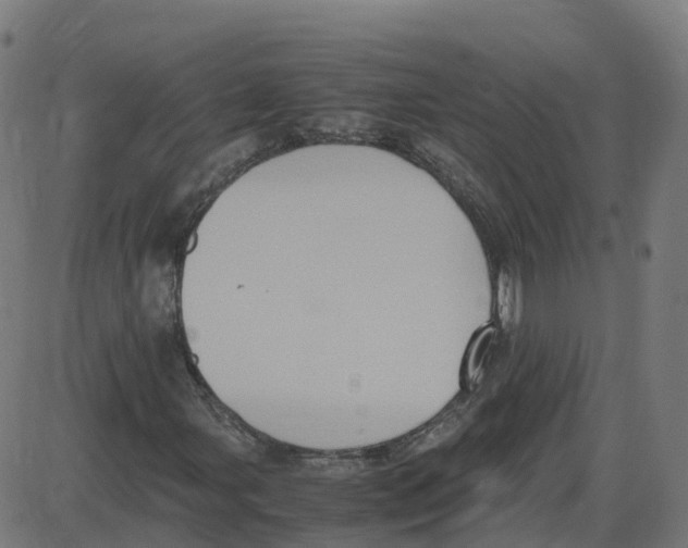 X0000087421107200705181415