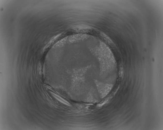 X0000087421108200705181415