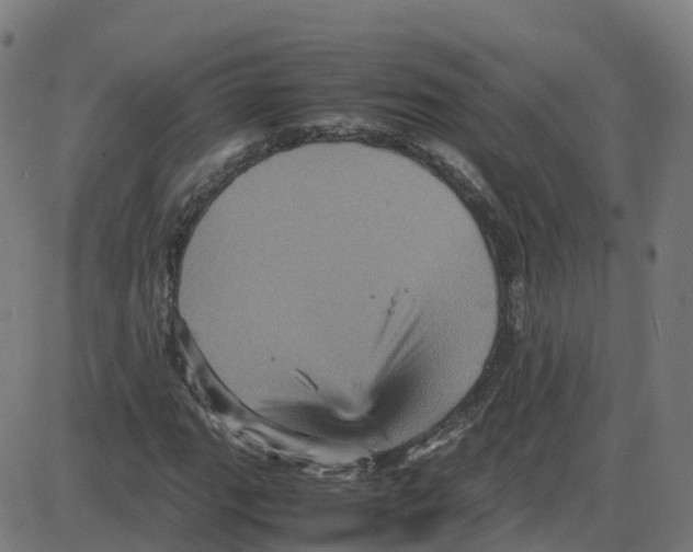 X0000087421111200705181415
