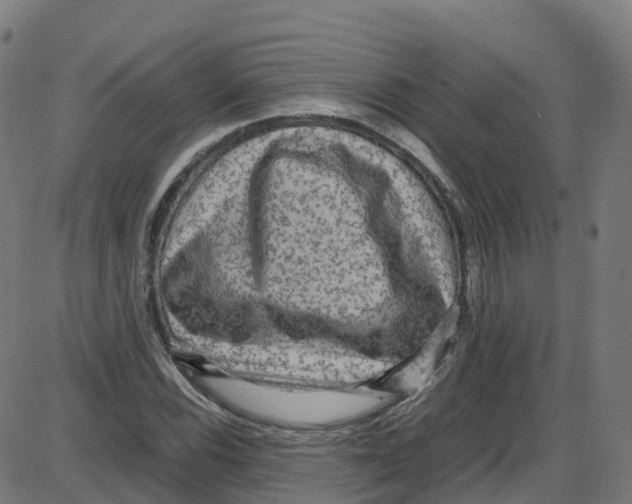 X0000087421116200705181416