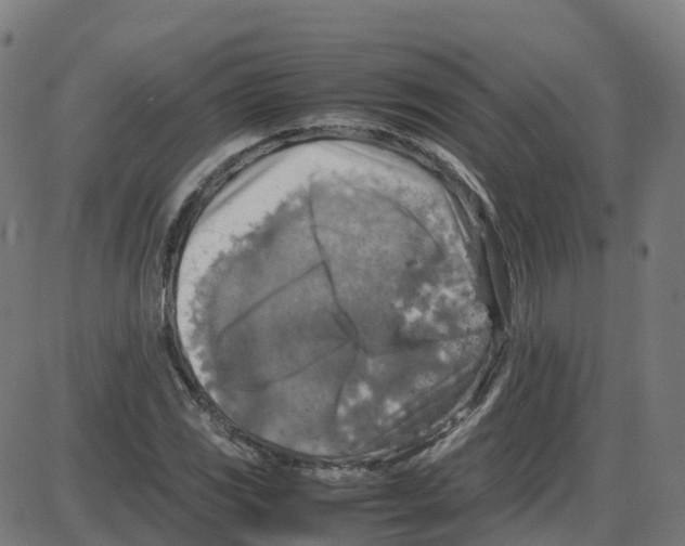 X0000087421117200705181416